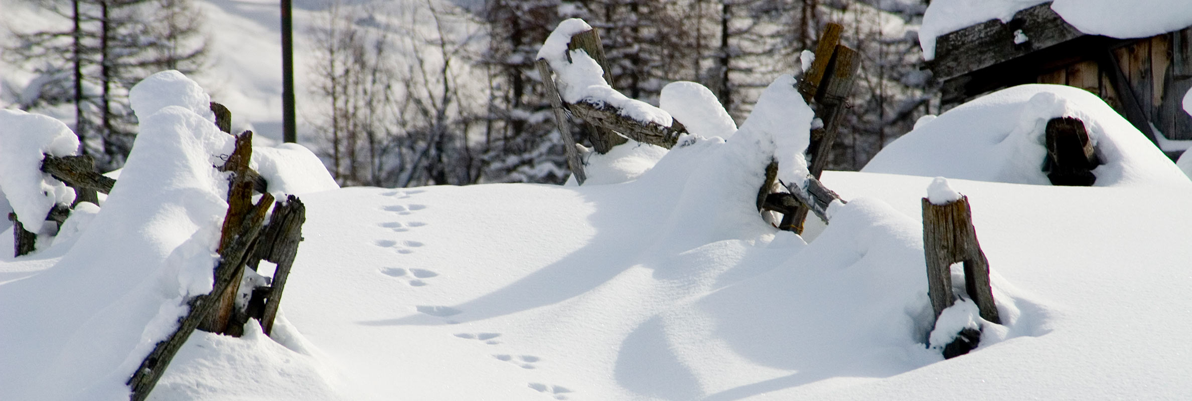 Attivo in inverno a Naturno